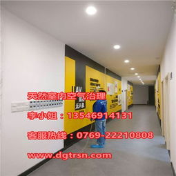 天然室内空气治理 东莞寮步装修除甲醛咨询指南